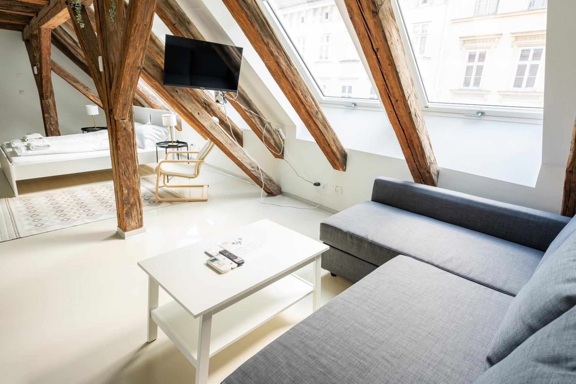 Living - Berggasse Apartamento Viena