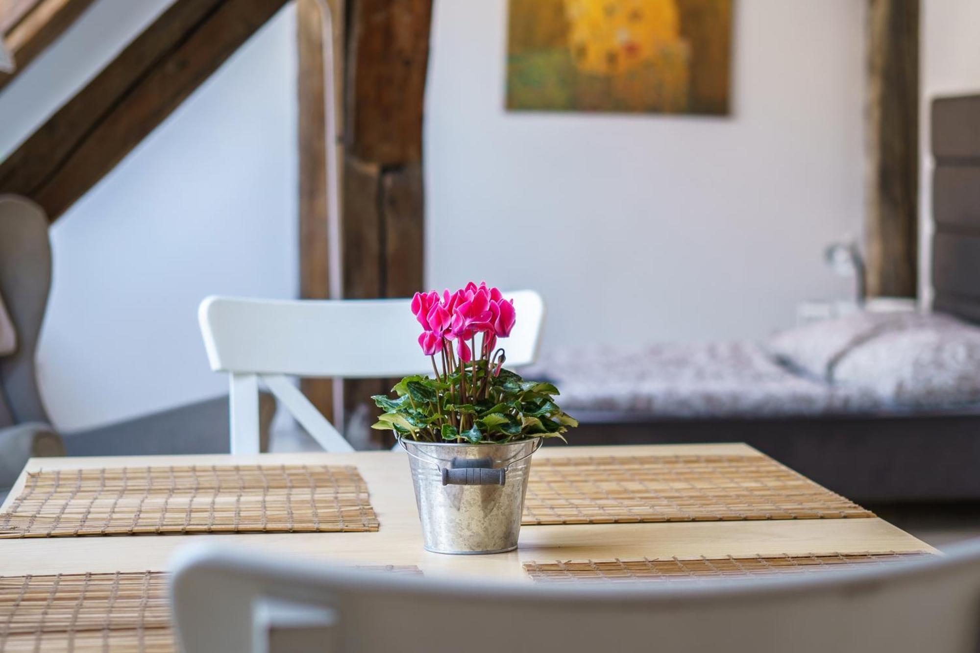 Appartement Living - Berggasse