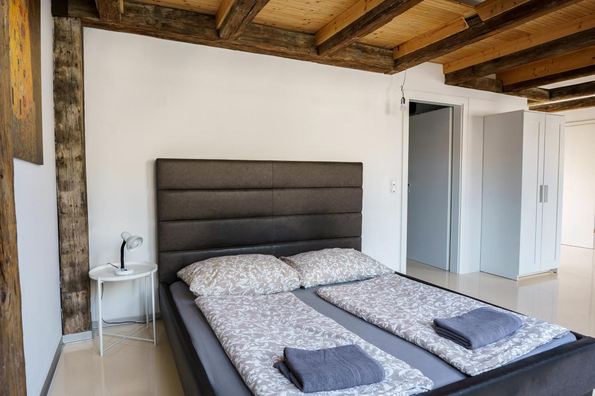 Living - Berggasse Apartamento Viena