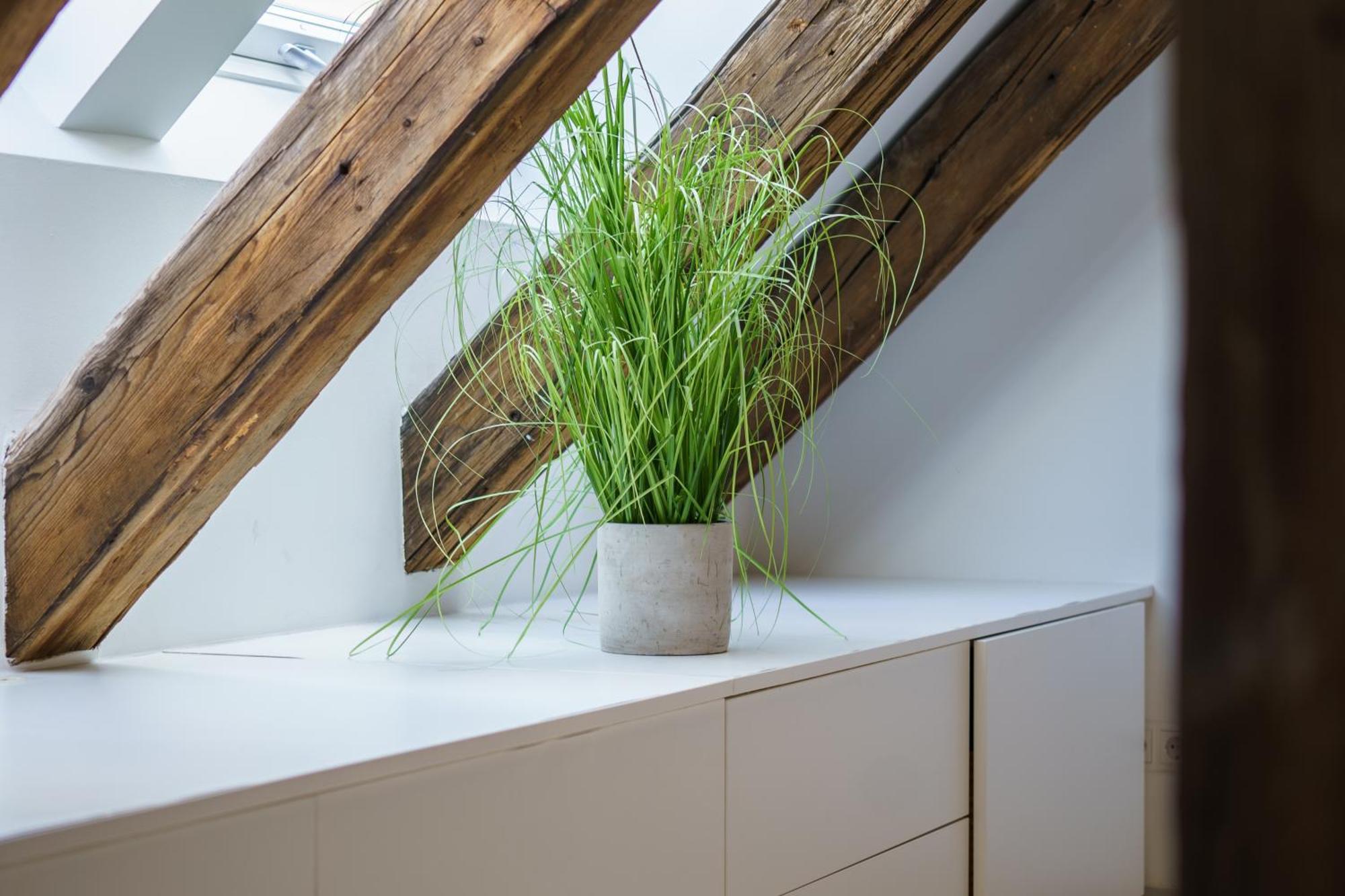 Apartamento Living - Berggasse Viena