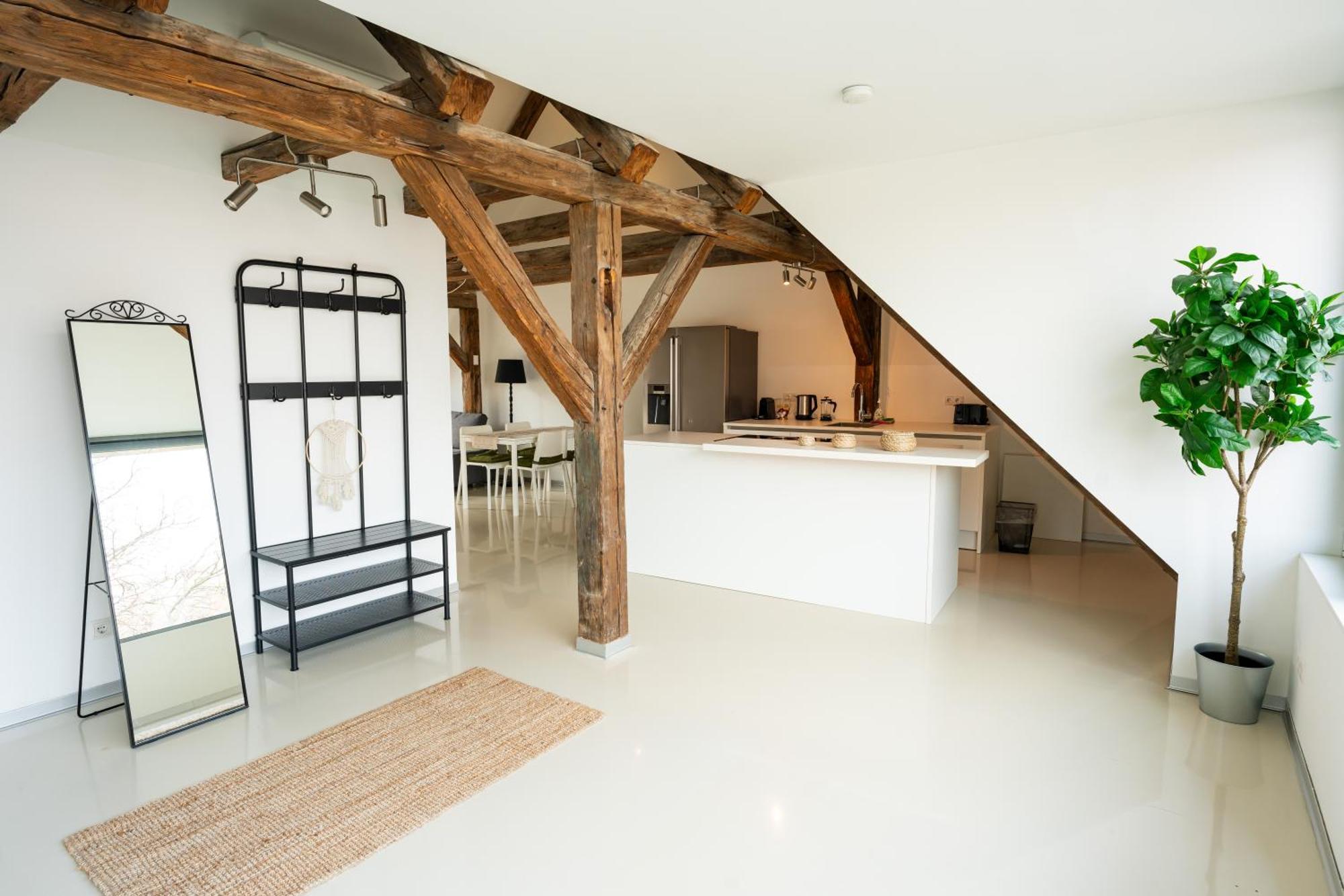 Living - Berggasse Apartamento Viena