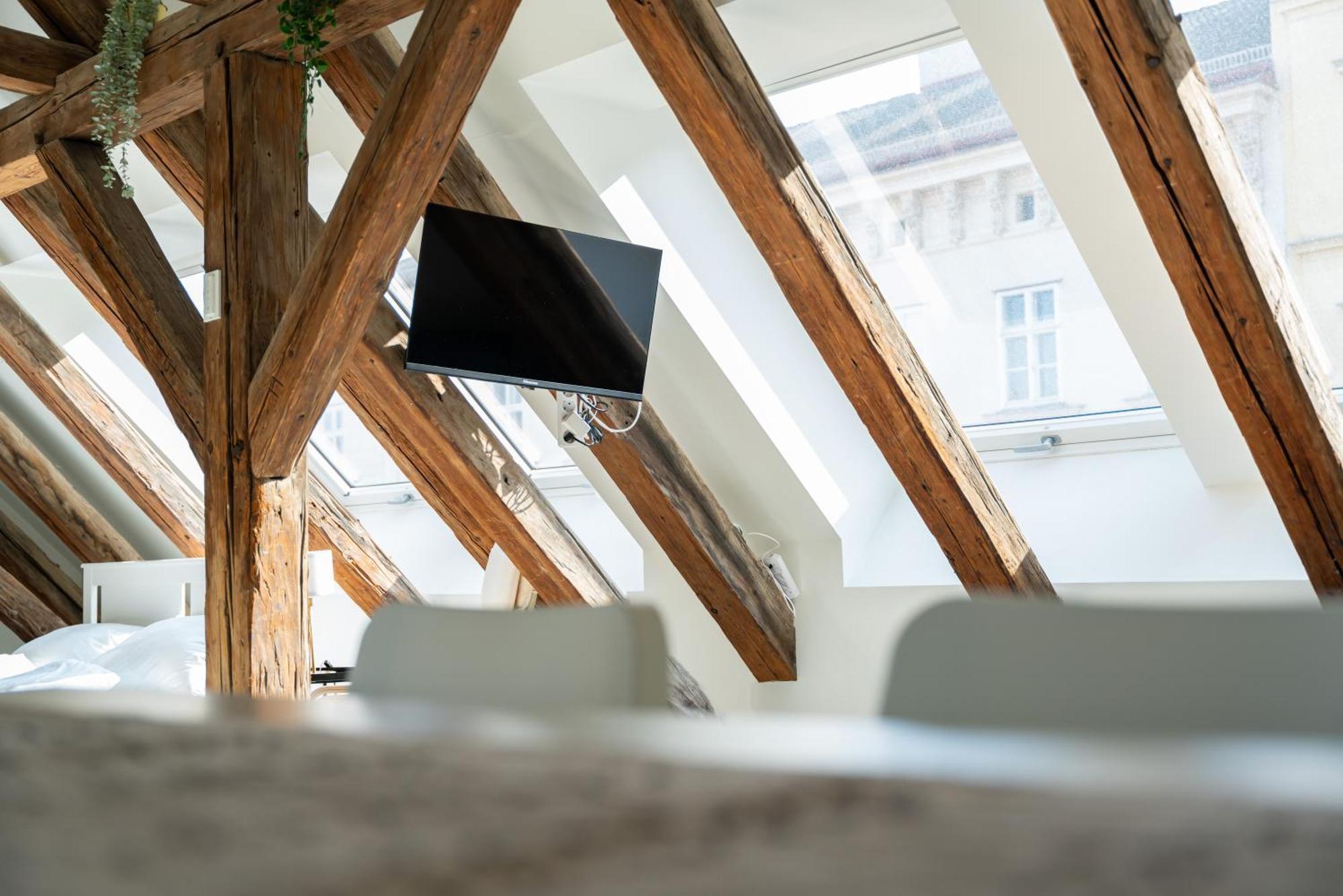 Apartamento Living - Berggasse *